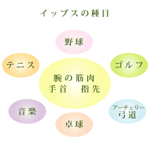 �C�b�v�X�̎��