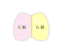 意識脳と無意識脳