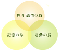 イップスに関係する脳