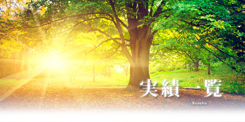 �����^���g���[�j���O�ƃC�b�v�X�̎���